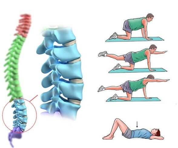 Physiotherapy and massage