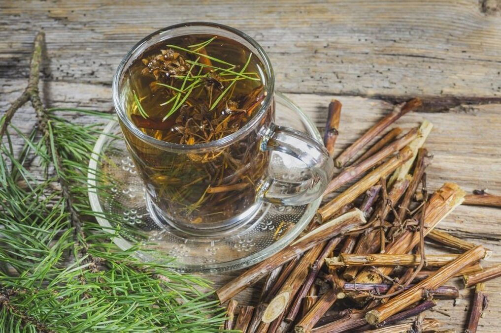 Decoction of conifers