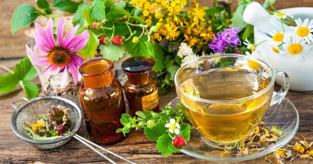 Plant infusions for the treatment of cervical osteochondrosis